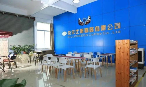 点赞！坦洲一企业入选广东省工业旅游培育资源库，文化艺术交流策划点亮工业新风景